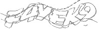 Check code